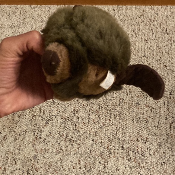 5 for $25 ๐ธ๐ธ๐ธ๐ธ๐ธ
Beaver toy. - Picture 2 of 5